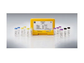Real-time PCR test kits